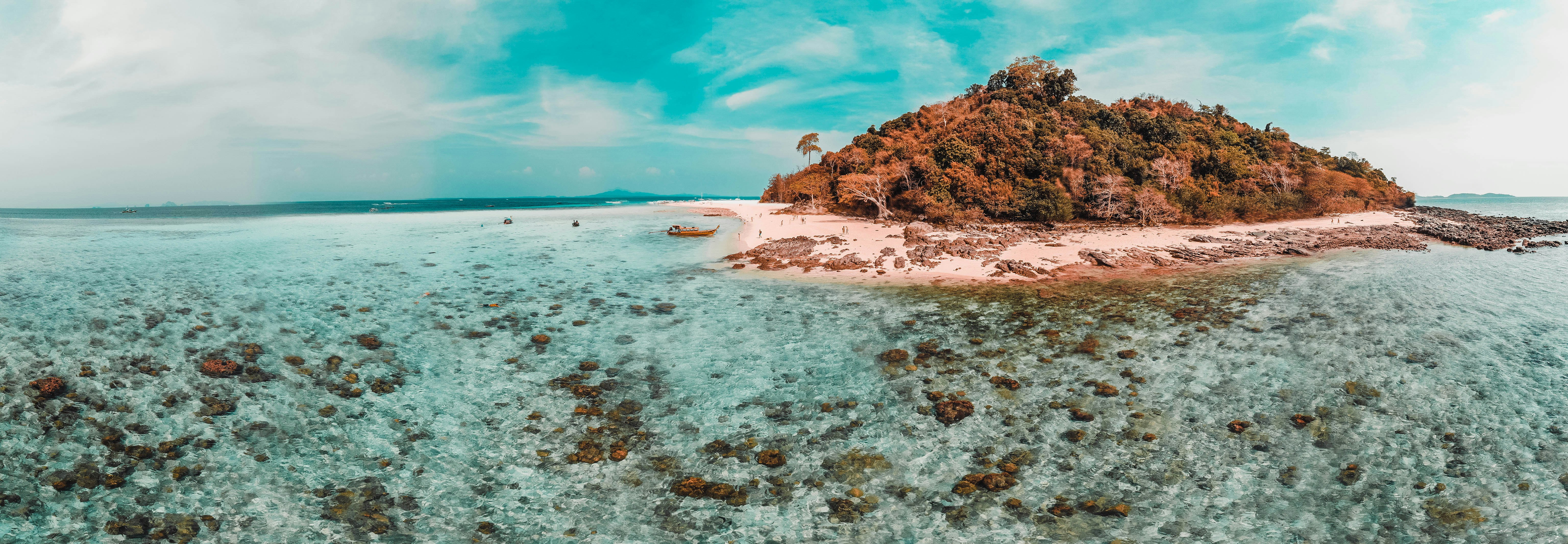 green trees surrounded by body of water